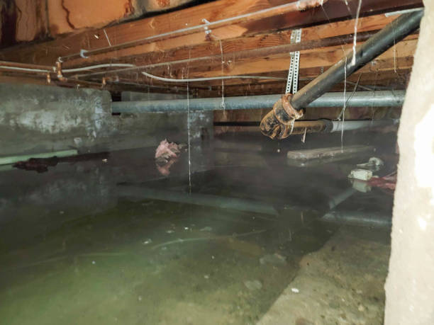 Best Water damage restoration near me  in Wadsworth, IL