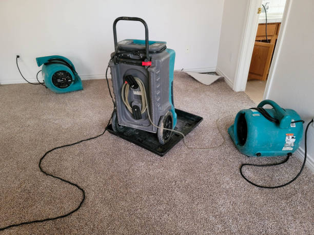 Best Emergency water damage restoration  in Wadsworth, IL