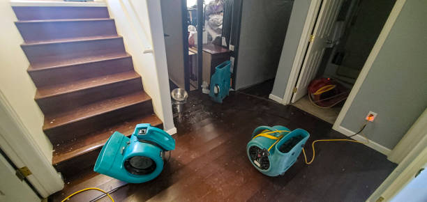 Best Flood damage cleanup  in Wadsworth, IL