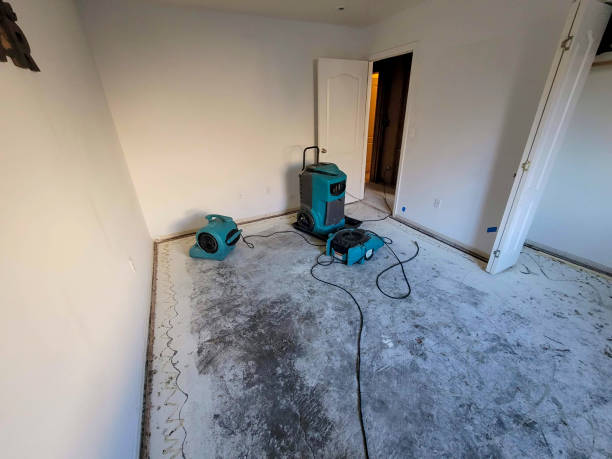 Professional Water damage restoration in Wadsworth, IL