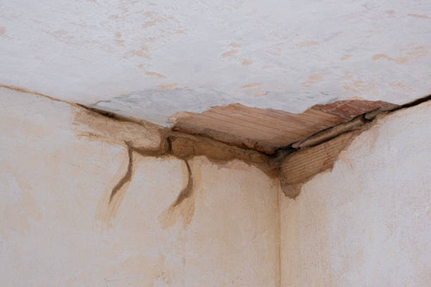  Wadsworth, IL Water damage restoration Pros