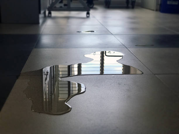Best 24-hour water damage restoration  in Wadsworth, IL