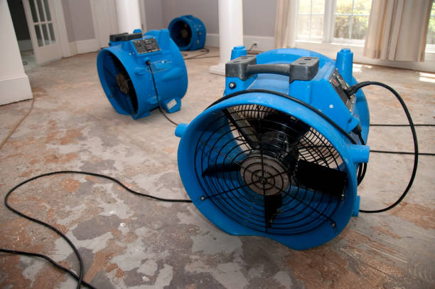 Best Professional water damage repair  in Wadsworth, IL