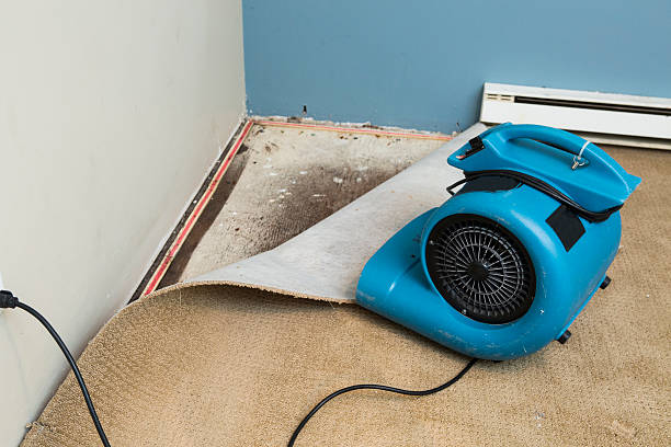 Fire Damage Restoration in Wadsworth, IL
