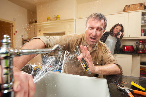 Best Water damage contractors near me  in Wadsworth, IL